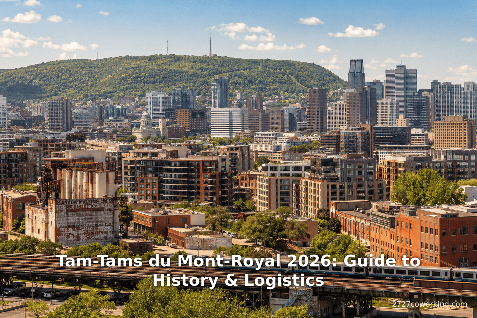 Tam-Tams du Mont-Royal 2026: Guide to History & Logistics